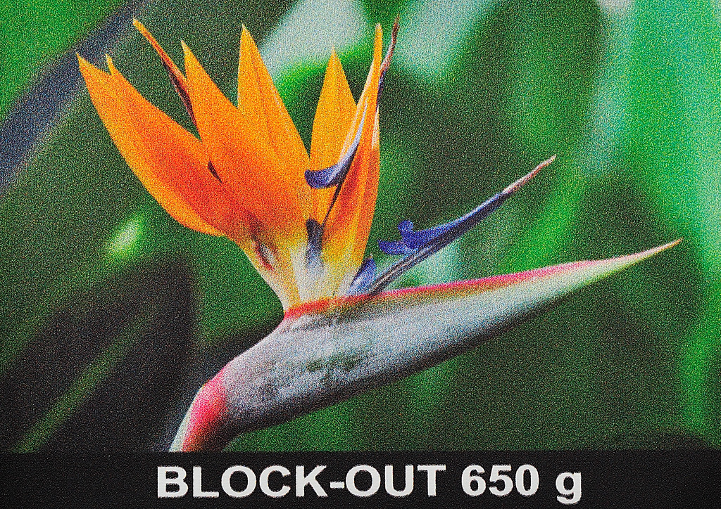 Blockout 650 g/m² B1